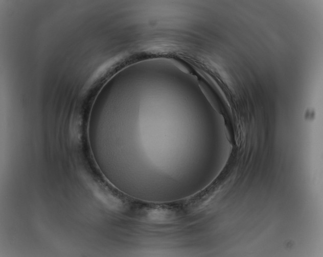 X0000093240400200709261713
