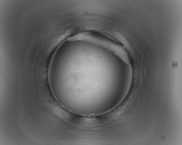X0000093240401200709261713