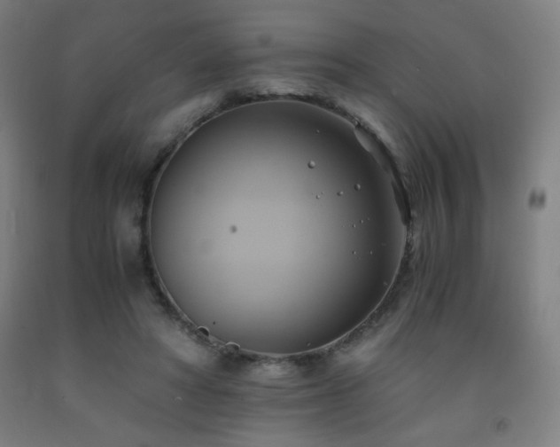 X0000093240402200709261713