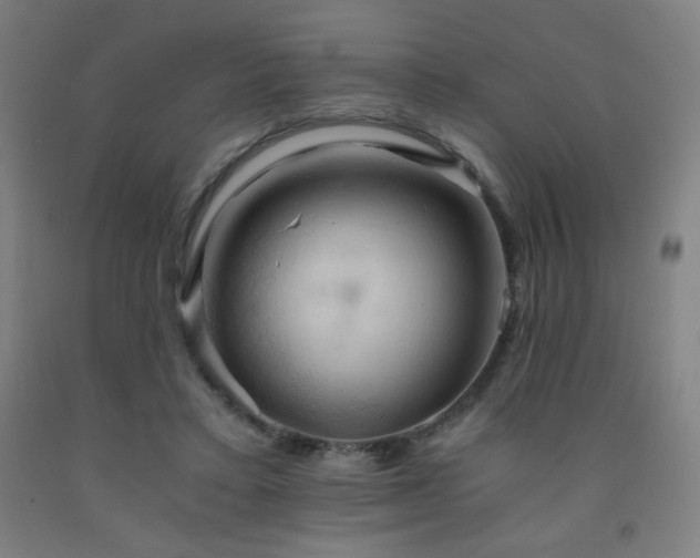 X0000093240403200709261713