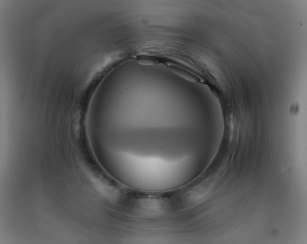 X0000093240404200709261713