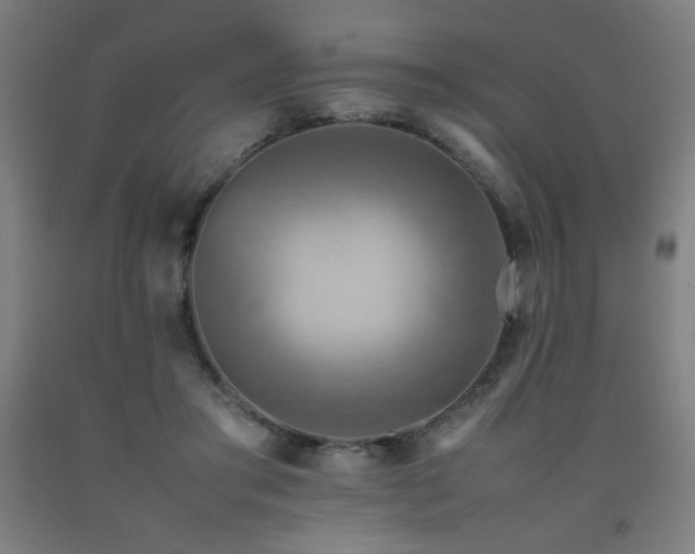 X0000093240405200709261712