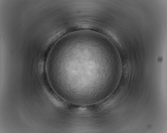 X0000093240406200709261712