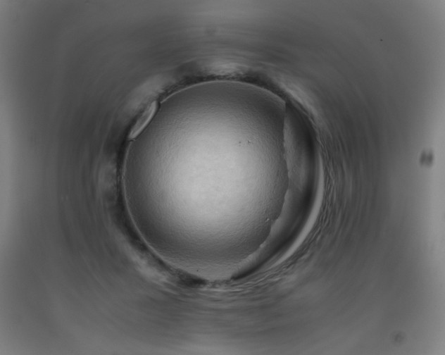 X0000093240407200709261712