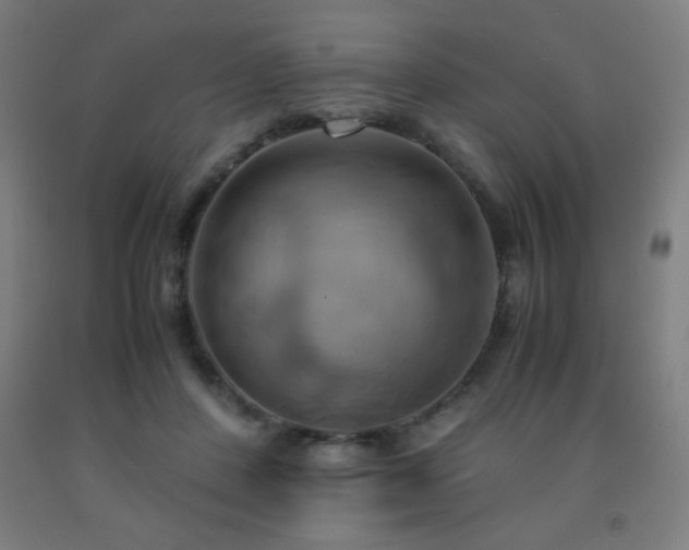 X0000093240408200709261712