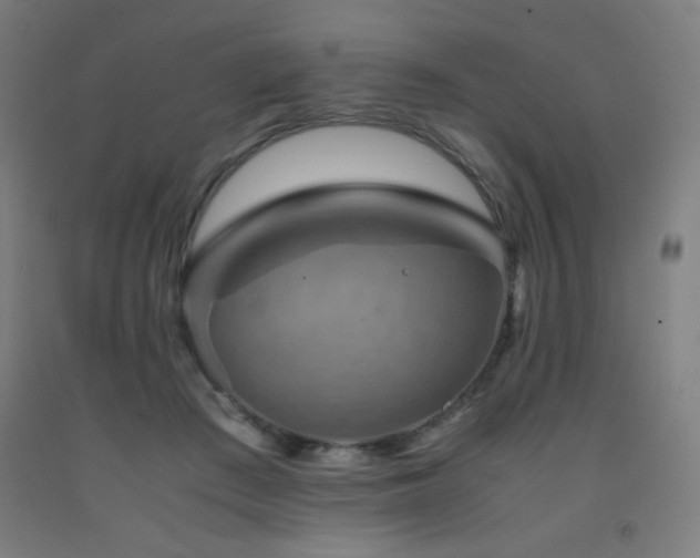 X0000093240409200709261712