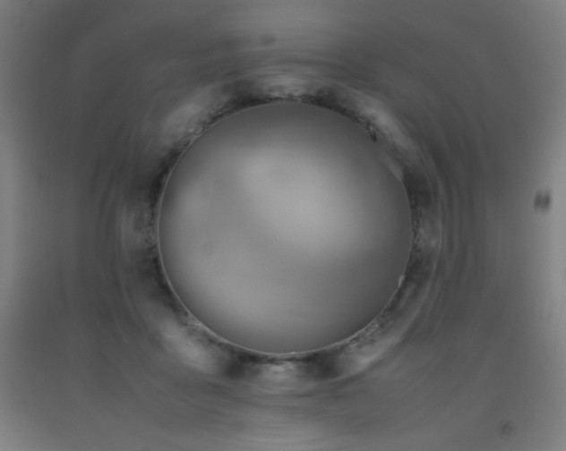 X0000093240411200709261712