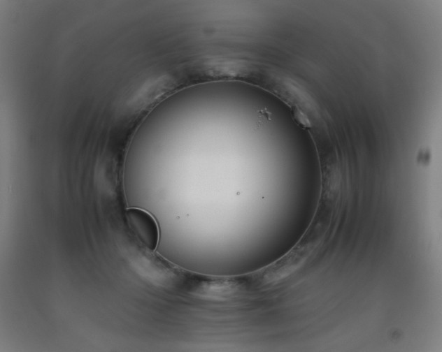X0000093240414200709261712