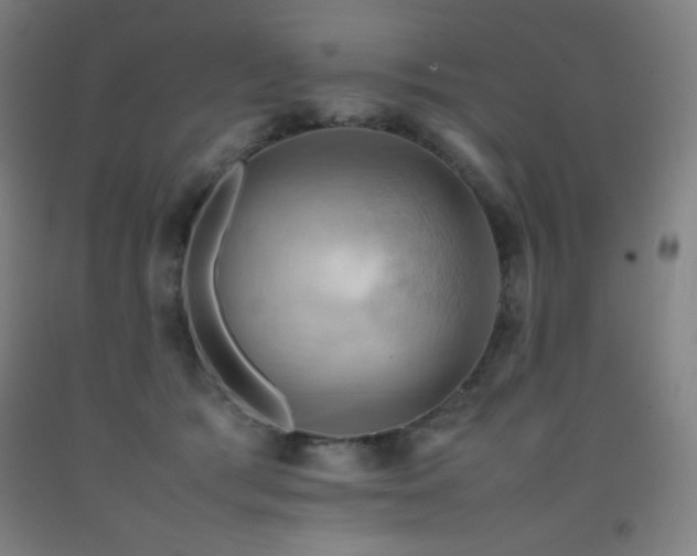 X0000093240417200709261712