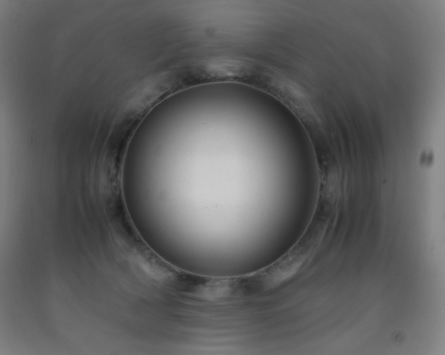 X0000093240418200709261712