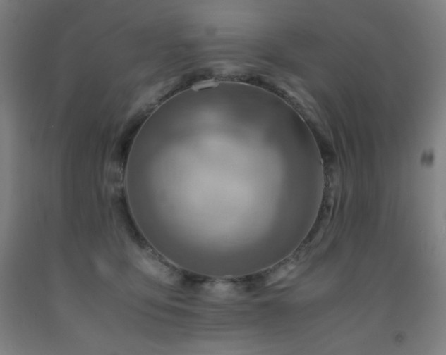X0000093240419200709261712