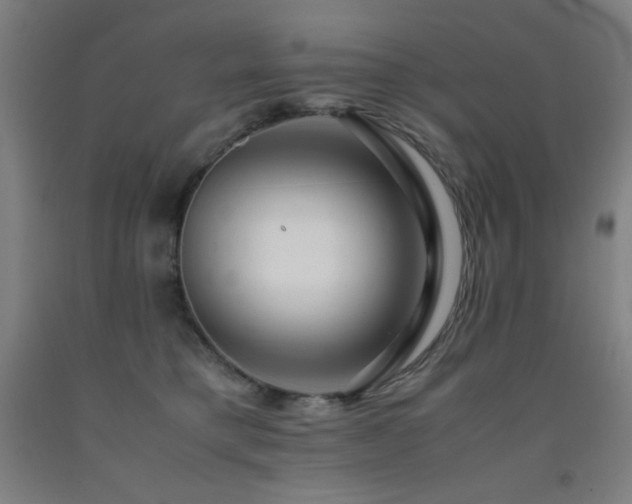 X0000093240421200709261712