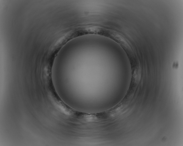 X0000093240424200709261712