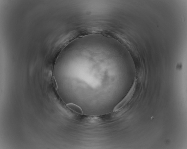 X0000093240427200709261712