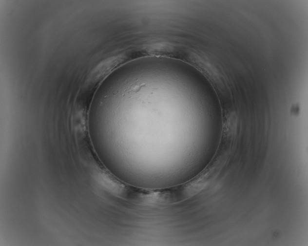 X0000093240430200709261712