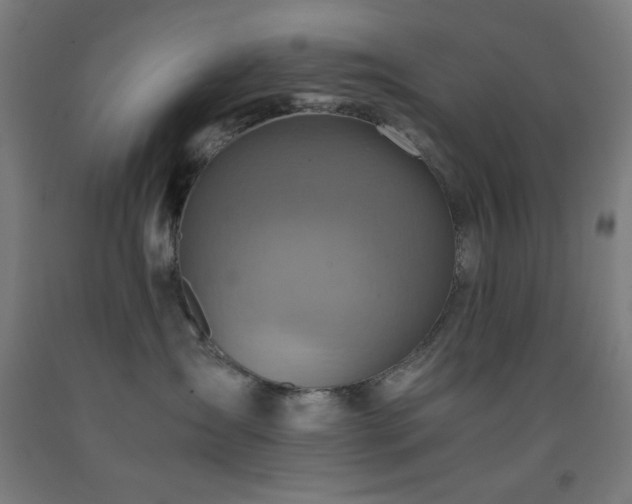 X0000093240431200709261712
