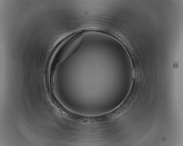 X0000093240434200709261712
