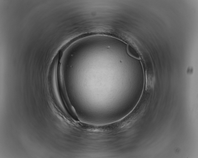 X0000093240435200709261712