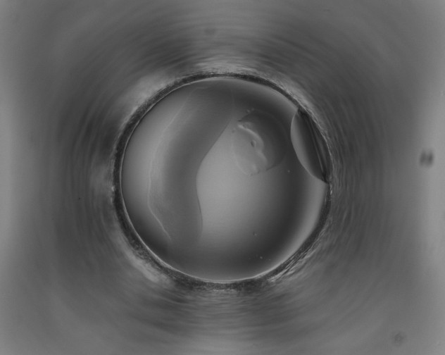 X0000093240438200709261712
