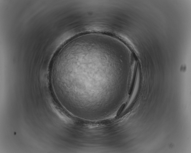 X0000093240439200709261712