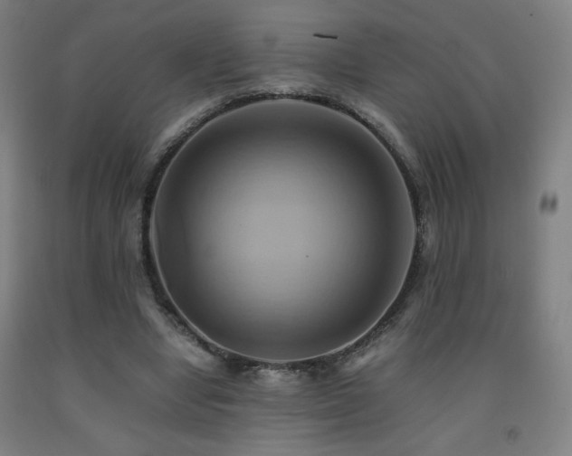 X0000093240442200709261712
