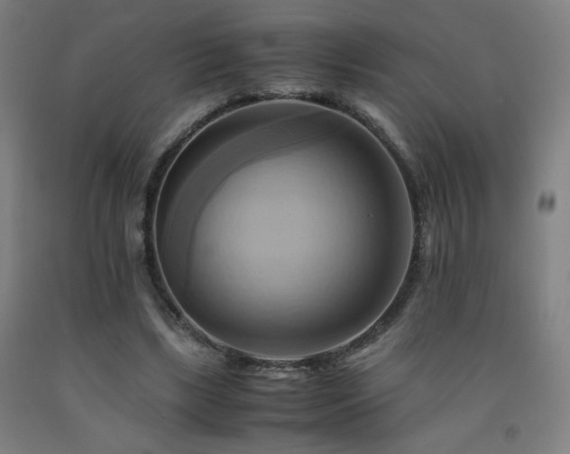 X0000093240443200709261712