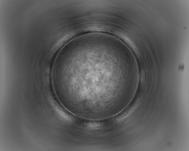 X0000093240445200709261712