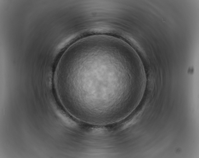 X0000093240446200709261712