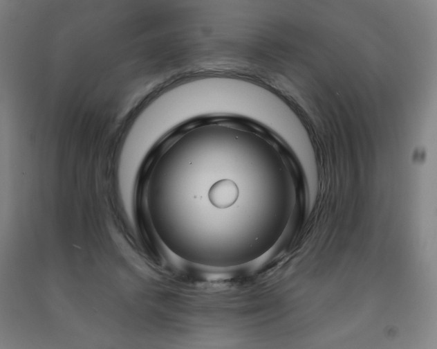 X0000093240448200709261712