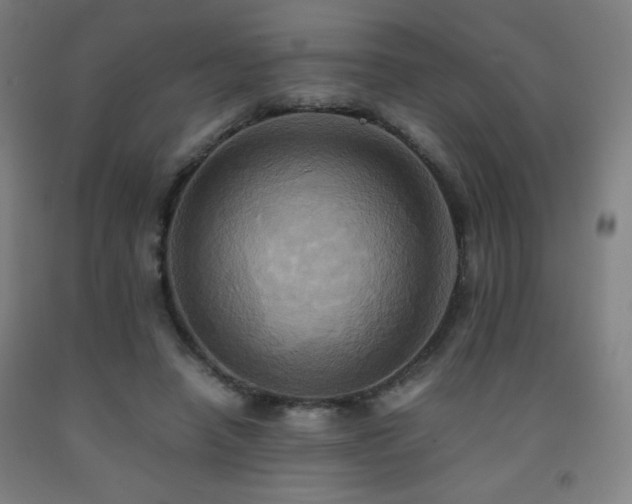 X0000093240450200709261712