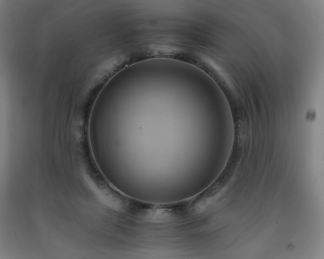 X0000093240451200709261712