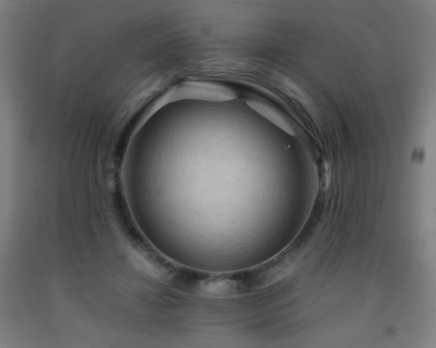 X0000093240452200709261712