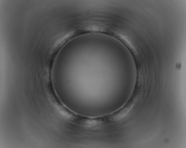 X0000093240453200709261712