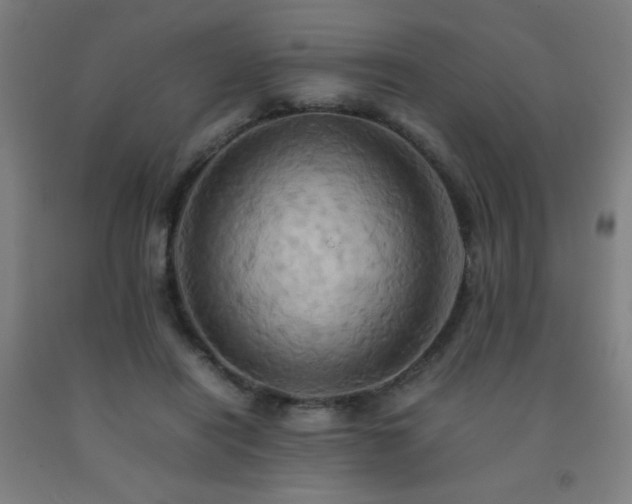 X0000093240454200709261712