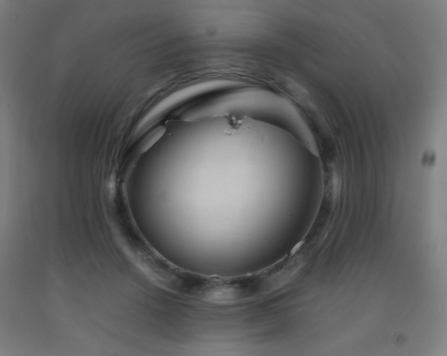 X0000093240456200709261712