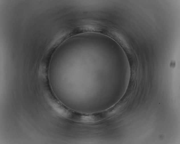 X0000093240457200709261712