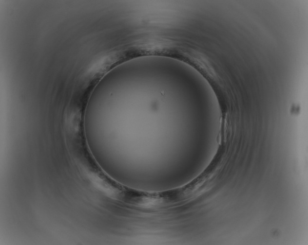 X0000093240458200709261712
