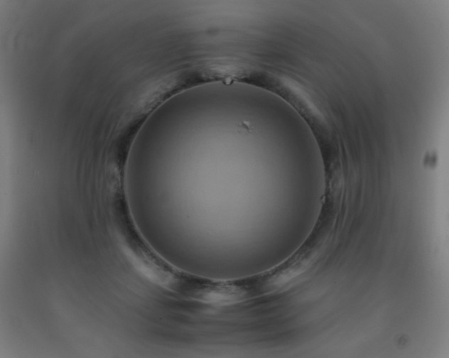 X0000093240459200709261712