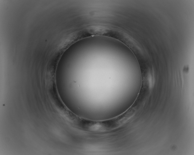 X0000093240460200709261712