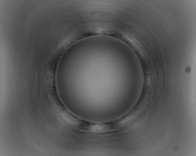 X0000093240461200709261712