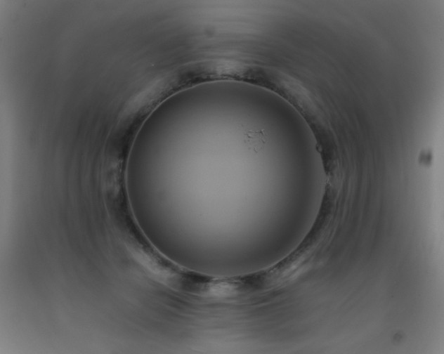 X0000093240462200709261712