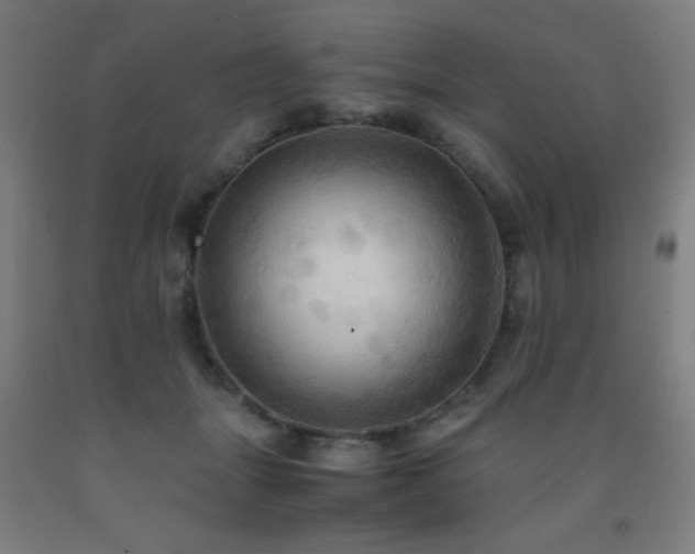 X0000093240463200709261712