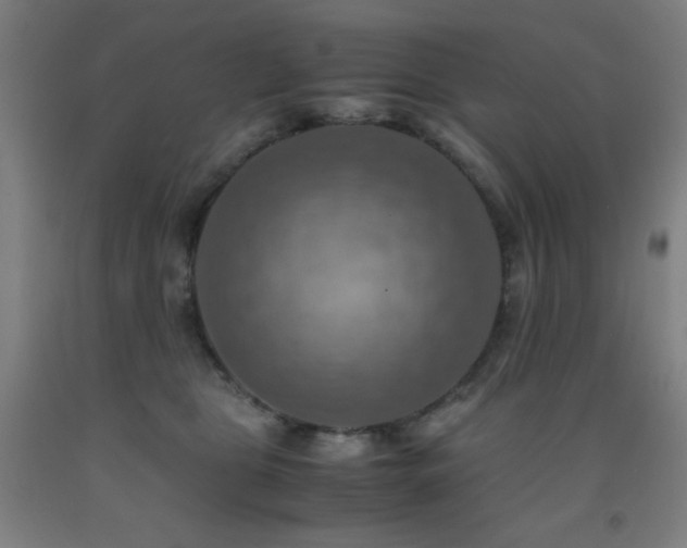 X0000093240469200709261712