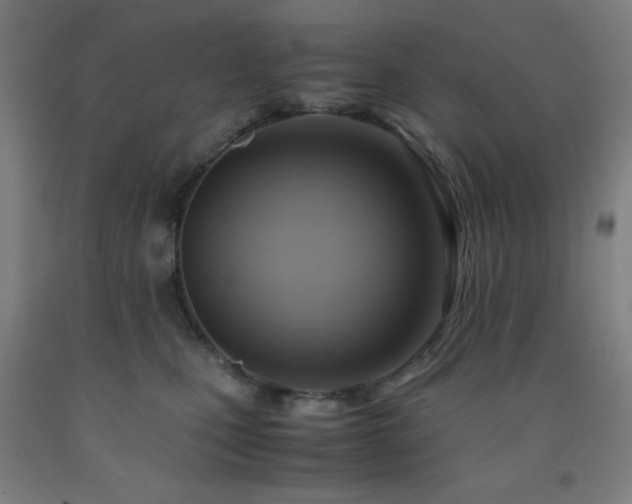 X0000093240471200709261712
