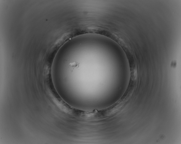 X0000093240472200709261712