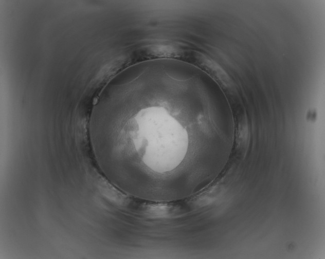 X0000093240473200709261712
