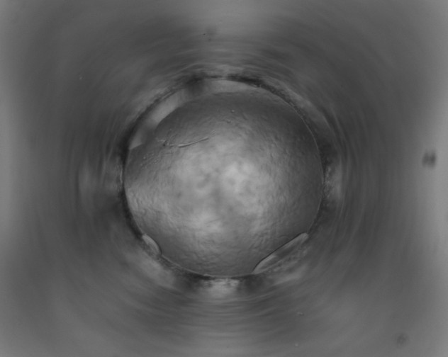 X0000093240474200709261712