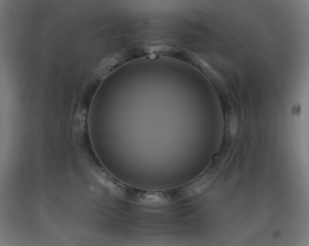 X0000093240475200709261712