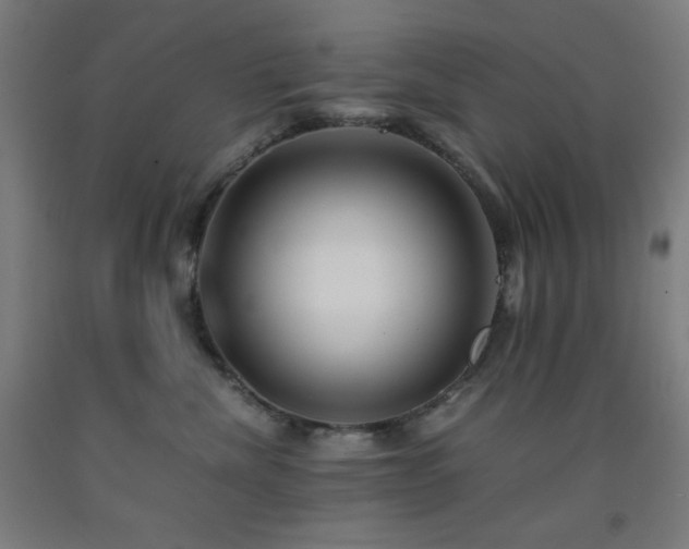 X0000093240476200709261712