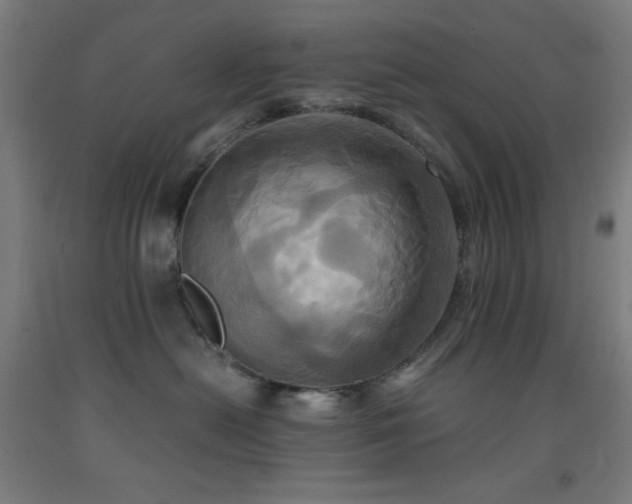 X0000093240478200709261712